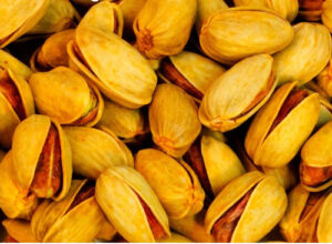 دانه‌های پسته شور با مغز درشت و رنگ طبیعی زعفران