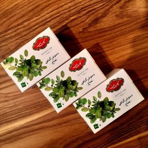 دمنوش کیسه‌ای نعنا گلستان ۲۰ عددی بسته‌بندی اورجینال