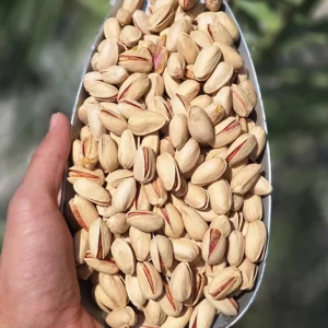 پسته اکبری ممتاز رفسنجان ژیوار