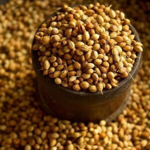 تصویر تخم گشنیز ممتاز ۱۰۰ گرمی ژیوار – ادویه‌ای طبیعی، خوش‌بو و دارویی