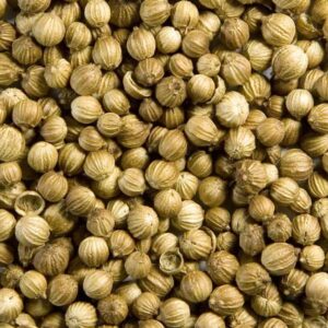تخم گشنیز طبیی