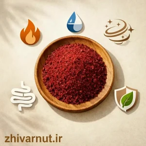 تصویر هنری خواص سماق قرمز خالص ژیوار برای سلامتی، شامل کاهش چربی خون، تنظیم قند خون، کنترل وزن، آنتیاکسیدان قوی، بهبود گوارش و تقویت سیستم ایمنی، در پسزمینهای طبیعی و گرم