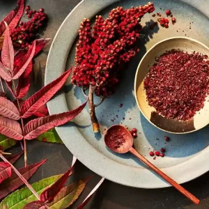 red-sumac-plant گیاه سماق قرمز
