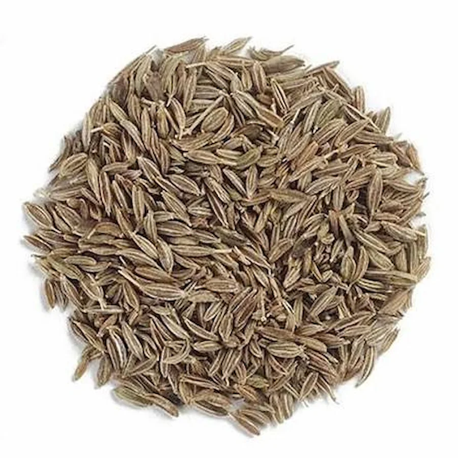 خرید زیره سبز عمده با کیفیت ممتاز و قیمت رقابتی